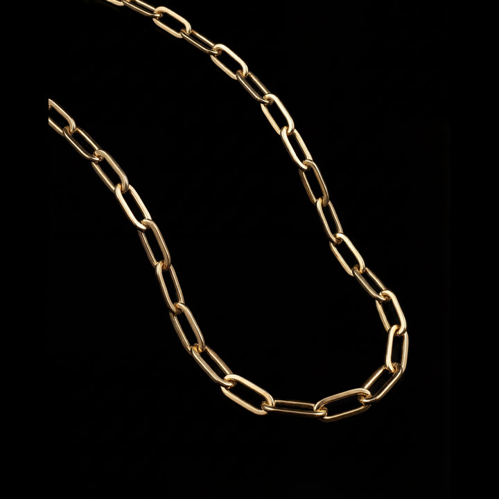 GENTS. Clip Chain Gold Vermeil 18K 316L Stainless Steel 50cm Men's Necklace Cairo Egypt